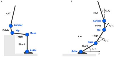 Clarify Sit-to-Stand Muscle Synergy and Tension Changes in Subacute Stroke Rehabilitation by Musculoskeletal Modeling